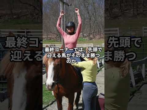 どこから見るのがいいのか#競馬 #予想