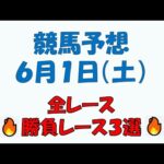 【競馬予想】６月１日（土）全レース予想／厳選３レース(平場予想・重賞予想)