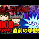 ジャグラーガールズ初打ち！全台系！？しかし、恐怖の1000ハマりも   【2024年5月13日】