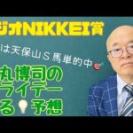 市丸博司のフライデー光る☆予想#148「ラジオＮＩＫＫＥＩ賞」。今週は市丸が「競馬予想ＴＶ！」出演ナシなので、日曜重賞を予想します。先週は天保山Ｓ馬単2500円などを予告的中！　ビシビシ行きまっせー！