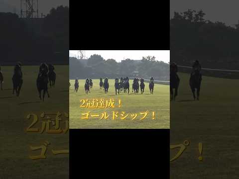 2冠達成ゴールドシップ！#競馬 #競馬予想 #菊花賞 #ゴールドシップ