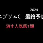 【競馬予想】　エプソムカップ　2024  最終予想