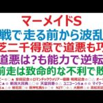 マーメイドステークス2024予想　大混戦で走る前から波乱確定！？ ◎芝二千得意で道悪も巧い。○道悪は疑問も能力で逆転。▲前走は致命的な不利で敗退。