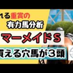 競馬予想 マーメイドステークス2024 【穴馬３頭】有力馬分析