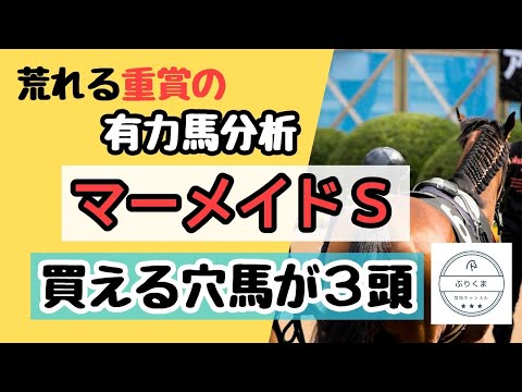 競馬予想 マーメイドステークス2024 【穴馬３頭】有力馬分析