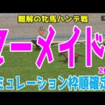 マーメイドステークス2024 枠順確定後シミュレーション【競馬予想】【展開予想】