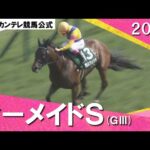 2024年 マーメイドステークス(ＧⅢ) アリスヴェリテ　実況：石田一洋【カンテレ公式】