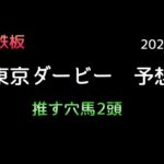 【競馬予想】　地方交流重賞　東京ダービー　2024  予想