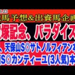 【 宝塚記念、パラダイスステークス2024 予想 】日曜日の競馬予想、出資馬企画！土曜は京都11R◎サトノルフィアン（1人気)、青函S◎カンティーユ(3人気)本命！宝塚記念の予想はこれだ！