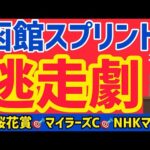 【函館スプリント2024】開幕週逃げスピード馬で適性はっきり【競馬予想】