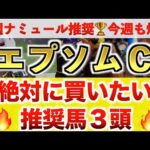 【エプソムカップ2024 予想】超大穴！○○○○過去最高のデキ？プロが”全頭診断”から導く絶好の3頭！