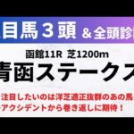 【2024競馬予想】青函ステークス｜最も注目したいのは洋芝適正抜群のあの馬！前走のアクシデントから巻き返しに期待！