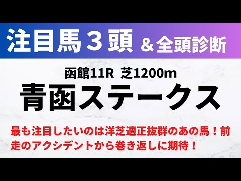 【2024競馬予想】青函ステークス｜最も注目したいのは洋芝適正抜群のあの馬！前走のアクシデントから巻き返しに期待！