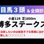 【2024競馬予想】博多ステークス｜最も注目したいのは前走タフな馬場に泣かされて大敗した○○○○○○！