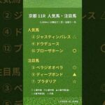 宝塚記念の競馬予想です！最後まで逃げ切ってくれ～！！ #競馬 #競馬予想 #京都競馬場 #宝塚記念 #宝塚記念2024 #g1 #ぺラジオオペラ