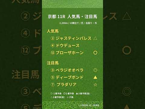 宝塚記念の競馬予想です！最後まで逃げ切ってくれ～！！ #競馬 #競馬予想 #京都競馬場 #宝塚記念 #宝塚記念2024 #g1 #ぺラジオオペラ