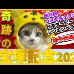 【ネコの競馬予想】宝塚記念2024！奇跡の猫現る！！数々の神的中で“喜びと笑顔”を届けてくれたコント君！春Ｇ1最終レースに指名した大穴とは？！