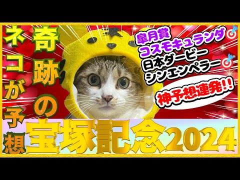 【ネコの競馬予想】宝塚記念2024！奇跡の猫現る！！数々の神的中で“喜びと笑顔”を届けてくれたコント君！春Ｇ1最終レースに指名した大穴とは？！