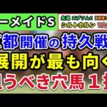 マーメイドステークス 2024【激推し注目馬⇒複勝率100％(2-3-3-0)】京都開催の持久戦で展開が最も向く狙うべき穴馬は１択！