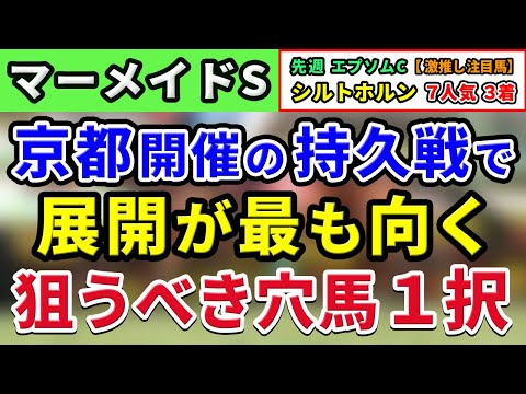 マーメイドステークス 2024【激推し注目馬⇒複勝率100％(2-3-3-0)】京都開催の持久戦で展開が最も向く狙うべき穴馬は１択！