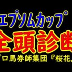 エプソムカップ2024一週前競馬予想全頭診断！ヴェルトライゼンデが1年2か月ぶりに出走する！春の東京Ｇ１が終了しＧ３戦が始まり先へ向けて賞金加算をしたい馬達が集まった！