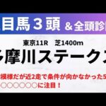 【2024競馬予想】多摩川ステークス｜東京芝1400ｍの予想は難しいが近2走で条件向かなかった5歳牝馬に注目！