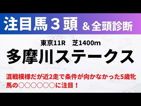 【2024競馬予想】多摩川ステークス｜東京芝1400ｍの予想は難しいが近2走で条件向かなかった5歳牝馬に注目！