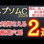 【エプソムカップ2024】厳選穴馬予想！レース傾向や想定される展開でレーベンスティールら有力馬たちにアッと言わせる可能性を秘める2頭を公開！