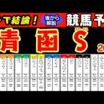 青函ステークス2024レース競馬予想！函館スプリントステークスで3着に好走したビッグシーザーが参戦しモリノドリームやカンティーユなど洋芝巧者と激突！