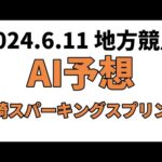 【川崎スパーキングスプリント】地方競馬予想 2024年6月11日【AI予想】