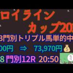 フロイラインカップ2024予想【門別競馬】AI予想＋調教診断＋買い目