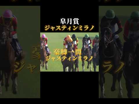 2024春G1をプレイバックpart1 #競馬 #競馬予想 #高松宮記念 #桜花賞 #皐月賞 #大阪杯