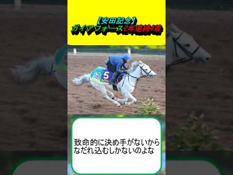 【安田記念】ガイアフォース2年連続4着 #競馬 #競馬予想 #ロマンチックウォリアー #ナミュール #ソウルラッシュ #セリフォス #ルメール #武豊 #川田将雅 #坂井瑠星 #宝塚記念