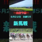 #競馬 #競馬予想 #血統 #血統予想 #競馬女子#新馬戦　#新馬戦予想　#京都5R