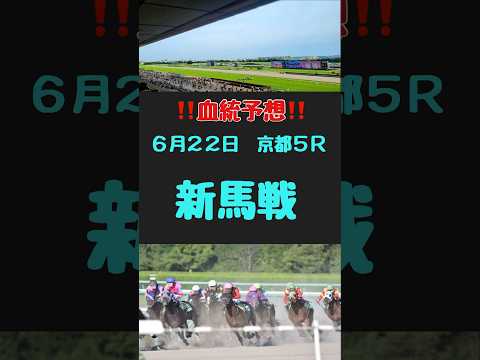 #競馬 #競馬予想 #血統 #血統予想 #競馬女子#新馬戦　#新馬戦予想　#京都5R