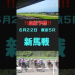 #競馬 #競馬予想 #血統 #血統予想 #競馬女子#新馬戦　#新馬戦予想　#東京5R