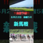 #競馬 #競馬予想 #血統 #血統予想 #競馬女子#新馬戦　#新馬戦予想　#函館5R