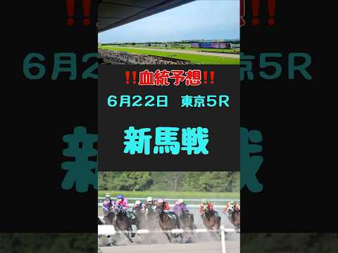 #競馬 #競馬予想 #血統 #血統予想 #競馬女子#新馬戦　#新馬戦予想　#東京5R