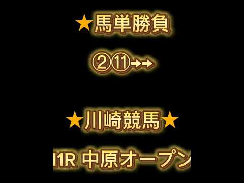 6月13日地方競馬予想!北海優駿！中原オープン！他