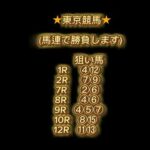 6月15日中央競馬予想!(函館 京都 東京)予想!米子ステークス！他