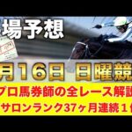 【6月16日日曜競馬予想】土曜もまた200倍オーバー推奨🥇プロが平場全レース予想を無料公開！【平場予想】