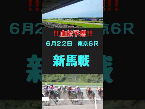 #競馬 #競馬予想 #血統 #血統予想 #競馬女子#新馬戦　#新馬戦予想　#東京6R