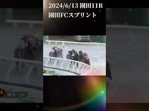 園田FCスプリント　もちおの当たらない予想 #競馬 #競馬予想