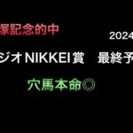 【競馬予想】　ラジオNIKKEI賞　最終予想　2024