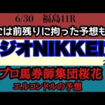 エルコンドル氏のラジオNIKKEI賞2024予想！！開幕週でやはり内前有利ではないか！？時には思い切った前後ろ一方に拘った大胆な予想も！