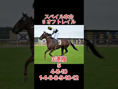 【ラジオNIKKEI賞2024】最終予想！#競馬 #競馬予想 #本命 #買い目 #ラジオnikkei賞 #ラジオnikkei賞2024