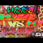 P真・北斗無双FWQG  【ファイオウ】北斗琉拳に打ち勝て？【北斗無双】【プレミア】