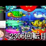 Pスーパー海物語IN沖縄5【沖海5】パチンコライブ配信 海物語ライブ生配信 こあげホール実践実機配信 『こあげ ++394 海物語Live』