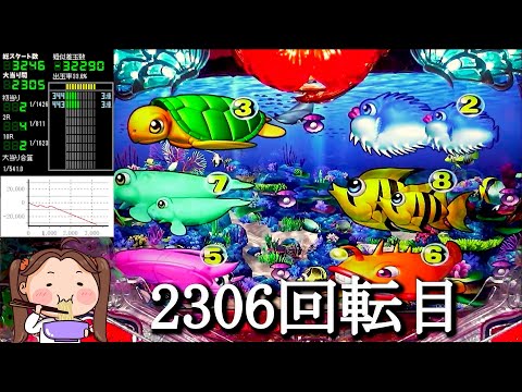 Pスーパー海物語IN沖縄5【沖海5】パチンコライブ配信 海物語ライブ生配信 こあげホール実践実機配信 『こあげ ++394 海物語Live』