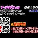 【マーメイドS2024】展開考察付き最終考察 逃げ馬のペース次第 展開向きそうな差し馬に注意